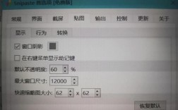如何设置Rapid Start技术？