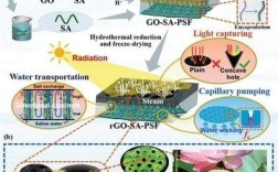 Flowspec技术到底是什么？