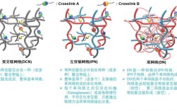 Trill技术组网模型如何高效构建？