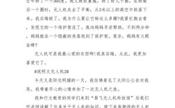 无人机参观中，有哪些奇妙发现？