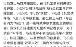 无人机干扰民航事件预警