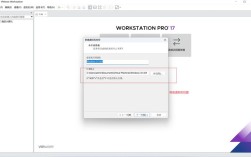 VMware 10网络设置如何配置？