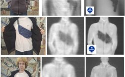 美国人体数码扫描技术发展现状如何？