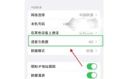 苹果6s如何开启4G网络？
