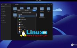Fedora网络安装怎么操作？