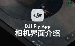 fly 42无人机app在哪下载？