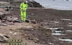 无人机频坠机，为何还有人玩？