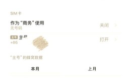 iPhone4s网络设置怎么连？