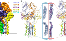 Isocell像素隔离技术有何优势？