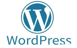 WordPress技术支持如何高效解决疑难问题？