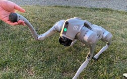 Airdog无人机怎么用？步骤是啥？