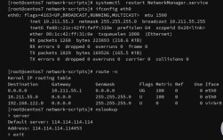 linux图形界面网络配置