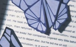 Butterfly技术是什么？有何独特优势？