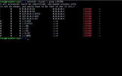 Linux如何查看进程的网络连接？