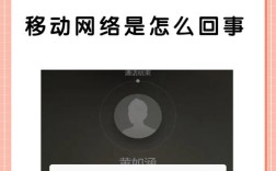 无网络访问权限 能上网