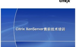 XenServer 技术支持如何高效解决复杂问题？