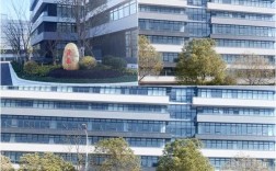 上海爱数信息技术是做什么的？