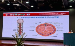 同性繁殖技术突破伦理底线了吗？