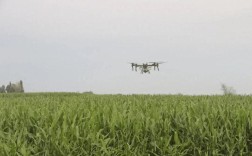 无人机打高杆玉米怎么操作？