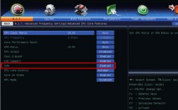 AMD处理器不支持虚拟化技术吗？