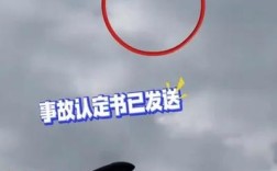 杭州无人机事件视频哪里能下载？