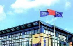 北京信威通信技术股份有限公司怎么了？