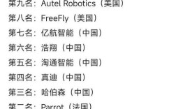 全球无人机企业哪家强？