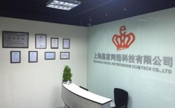 上海网络信息有限公司主营什么业务？