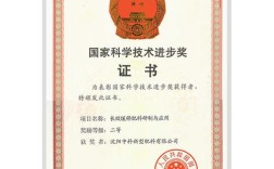 2025国家技术进步奖评选标准是什么？