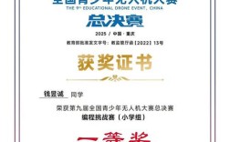 无人机飞行比赛视频奖金