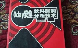 0day漏洞分析技术如何突破软件安全防线？