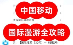 网络电话真能打国际长途吗？