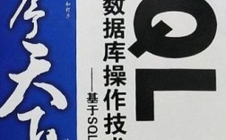 SQL语言与数据库操作技术大全，如何快速掌握核心技能？