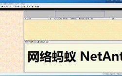 网络蚂蚁netants，老牌下载工具还有用吗？