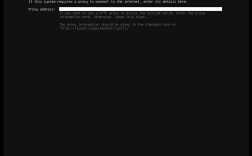 Ubuntu虚拟机如何连接网络？