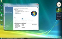 Vista主流技术支持有哪些内容？
