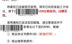 Tplink 技术岗 offer 有何独特优势？