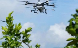 保植无人机不能喷果树