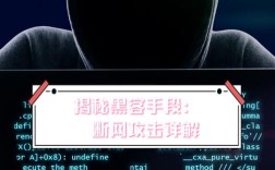 Web应用攻击技术有哪些常见手段？