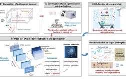 TruPrivacy数据安全技术如何保障隐私安全？