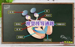Snap视觉跟踪技术如何实现精准实时跟随？