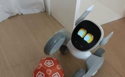 无人机用宠物人脸识别，能准确认出主子吗？