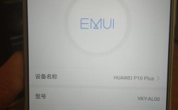 P10支持4.5G网络吗？