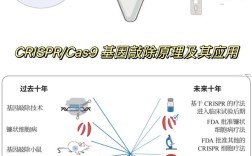 DNA编辑技术如何突破研究瓶颈？
