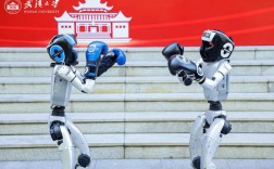 武大无人机人脸识别，隐私安全如何保障？