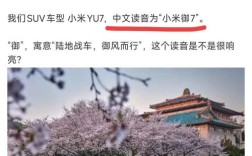 小米无人机何时正式上市？