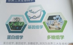 基因技术真能实现长生不老吗？