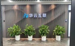 无锡华云数据技术服务有限公司做什么的？