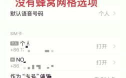 苹果5如何改成4G网络连接？