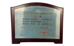 高新技术成果转化项目如何认定？